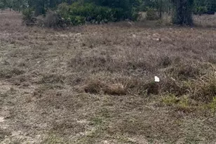 1511 Columbus Ave, Lehigh Acres, FL 33972 - Photo 3