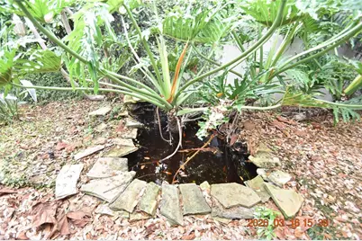 571 Luzon Avenue, Tampa, FL 33606 - Photo 55