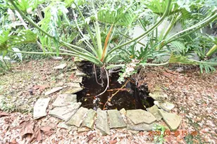 571 Luzon Ave, Tampa, FL 33606 - Photo 55