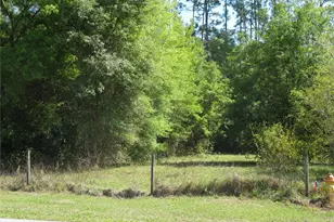 [Address not provided], San Antonio, FL 33576 - Photo 1