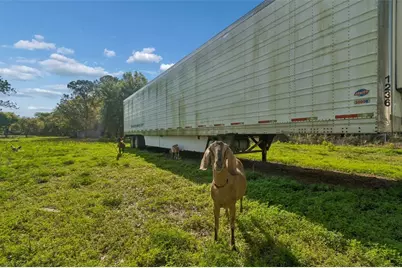 6213 Orient Road, Tampa, FL 33610 - Photo 37