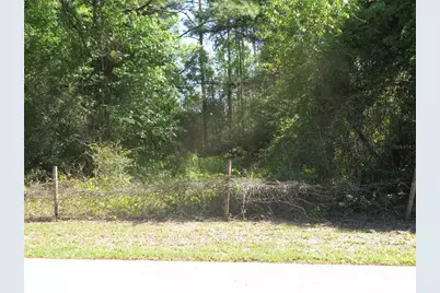 [Address not provided], San Antonio, FL 33576 - Photo 1