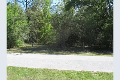 [Address not provided], San Antonio, FL 33576 - Photo 1