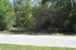 [Address not provided], San Antonio, FL 33576 - Photo 1