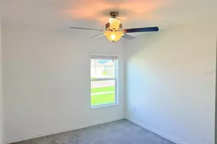 35007 Brackett Bnd, Zephyrhills, FL 33541 - Photo 19