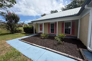 2609 Drumwood Pl, Valrico, FL 33596 - Photo 3