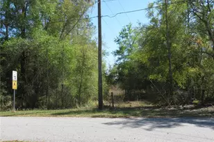 [Address not provided], San Antonio, FL 33576 - Photo 1
