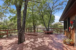 12526 Twin Branch Acres Rd, Tampa, FL 33626 - Photo 31