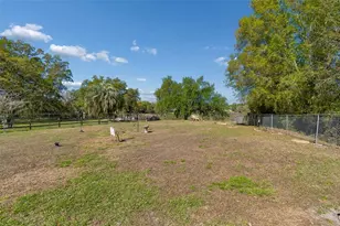 5059 Bernadette Dr, Zephyrhills, FL 33541 - Photo 73