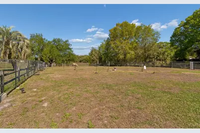 5059 Bernadette Drive, Zephyrhills, FL 33541 - Photo 35