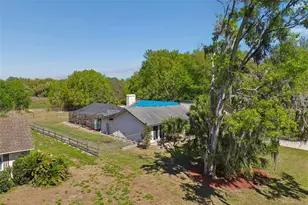 5059 Bernadette Dr, Zephyrhills, FL 33541 - Photo 75