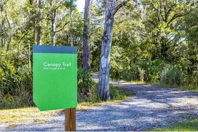 4124 Revival Lane, Land O Lakes, FL 34638 - Photo 45