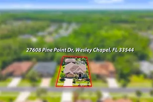 27608 Pine Point Dr, Wesley Chapel, FL 33544 - Photo 85