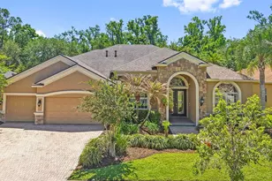27608 Pine Point Dr, Wesley Chapel, FL 33544 - Photo 1