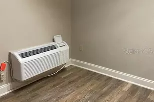 3914 Neptune St, Tampa, FL 33629 - Photo 7