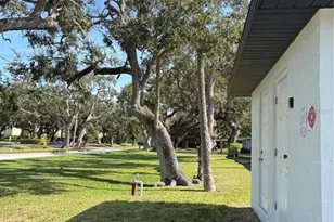 5815 Erin Ln S, Saint Petersburg, FL 33712 - Photo 33