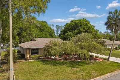 9004 Hogans Bend, Tampa, FL 33647 - Photo 7
