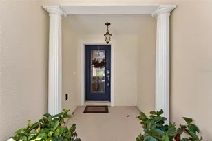 5325 Sandy Shell Dr, Apollo Beach, FL 33572 - Photo 9