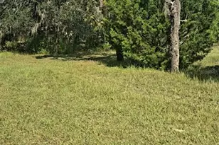 12070 NE 63rd Pl, Williston, FL 32696 - Photo 43