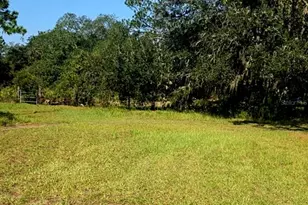 12070 NE 63rd Pl, Williston, FL 32696 - Photo 47