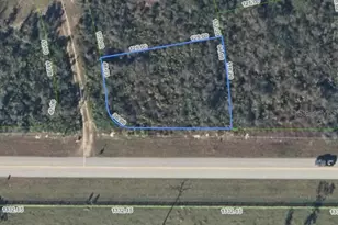 421 S St Johns Blvd, Avon Park, FL 33825 - Photo 1