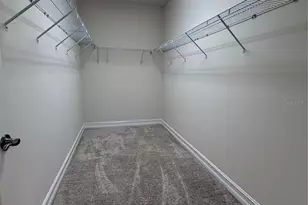 3237 Painted Blossom Ct, Lutz, FL 33558 - Photo 19