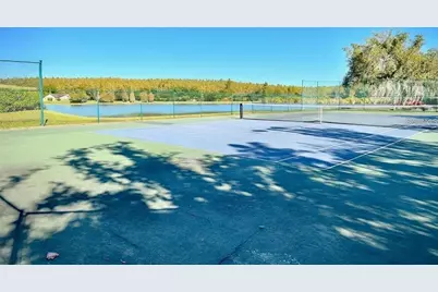 4201 Woodstorks Walk Way #3309, Lutz, FL 33558 - Photo 23