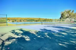 4201 Woodstorks Walk Way, Lutz, FL 33558 - Photo 23