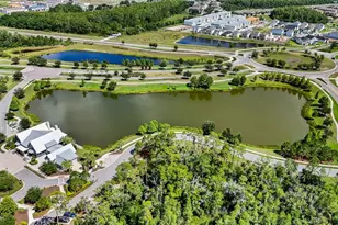 3725 Tea Leaf Aly, Land O Lakes, FL 34638 - Photo 57