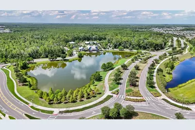 3725 Tea Leaf Alley, Land O Lakes, FL 34638 - Photo 53