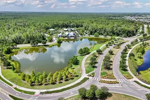 3725 Tea Leaf Aly, Land O Lakes, FL 34638 - Photo 53