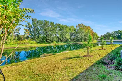 6032 Shiner Street, Land O Lakes, FL 34638 - Photo 53