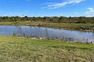 3612 Bellmeade Ct, Wesley Chapel, FL 33543 - Photo 35