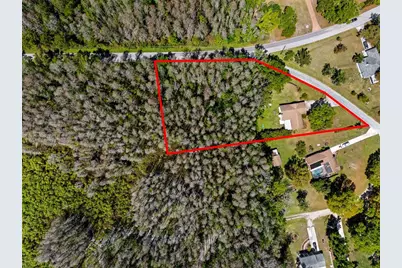 21823 Shamu Drive, Land O Lakes, FL 34639 - Photo 37