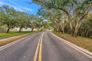 992 San Carlos Ct NE, Saint Petersburg, FL 33702 - Photo 45