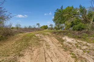 36841 Conley St, Zephyrhills, FL 33541 - Photo 13