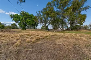 36841 Conley St, Zephyrhills, FL 33541 - Photo 23