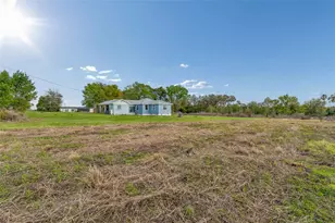 36841 Conley St, Zephyrhills, FL 33541 - Photo 19