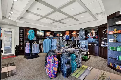 29451 Schinnecock Hills Lane, San Antonio, FL 33576 - Photo 63