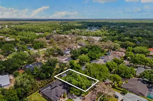 4647 Berwyn Ct, Palm Harbor, FL 34685 - Photo 45