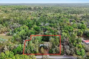 24265 Duffield Rd, Brooksville, FL 34601 - Photo 3