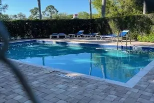 3121 Beecher Dr E, Palm Harbor, FL 34683 - Photo 53