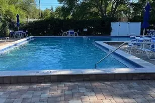 3121 Beecher Dr E, Palm Harbor, FL 34683 - Photo 61