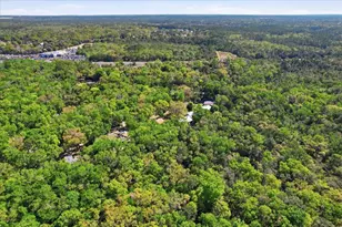 8952 W White Dogwood Dr, Homosassa, FL 34448 - Photo 65