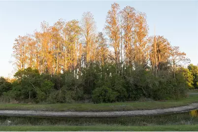 3037 Downan Point Drive, Land O Lakes, FL 34638 - Photo 25
