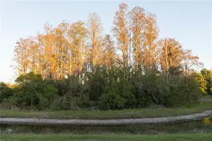 3037 Downan Point Dr, Land O Lakes, FL 34638 - Photo 25