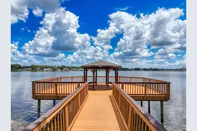 22850 Collridge Drive, Land O Lakes, FL 34639 - Photo 81