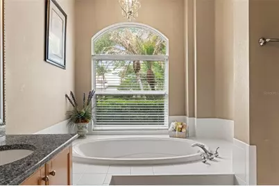 17905 Arbor Greene Drive, Tampa, FL 33647 - Photo 27