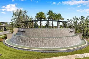 32558 Tree Of Life Ave, Wesley Chapel, FL 33543 - Photo 71