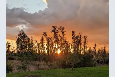 32558 Tree Of Life Avenue, Wesley Chapel, FL 33543 - Photo 73